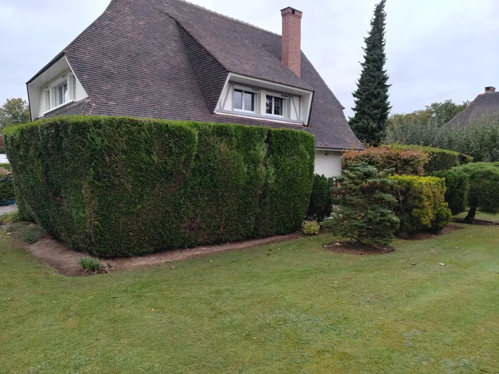 elag jardin gazon de placage (5)