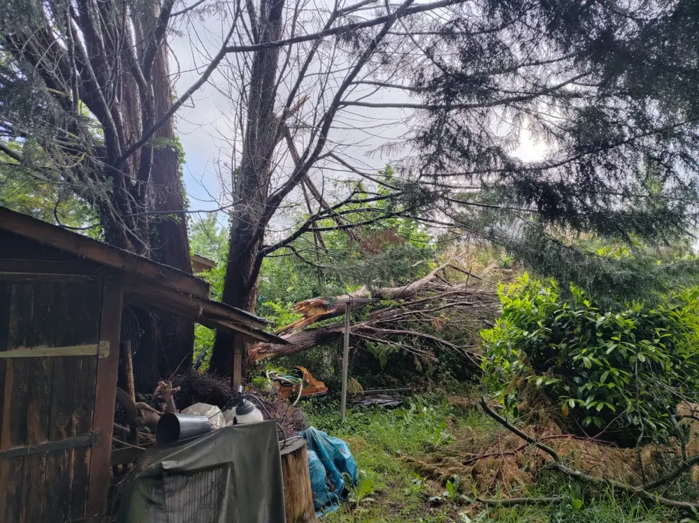 Débroussaillage près de Le Mesnil-Esnard