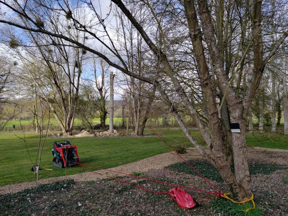 Taille d'arbre près de Rouen